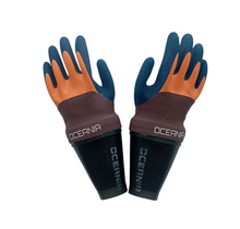 Load image into Gallery viewer, Oceania Gloves Dolphin Plus