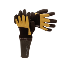 Load image into Gallery viewer, Oceania Gloves Leopard Shark Plus